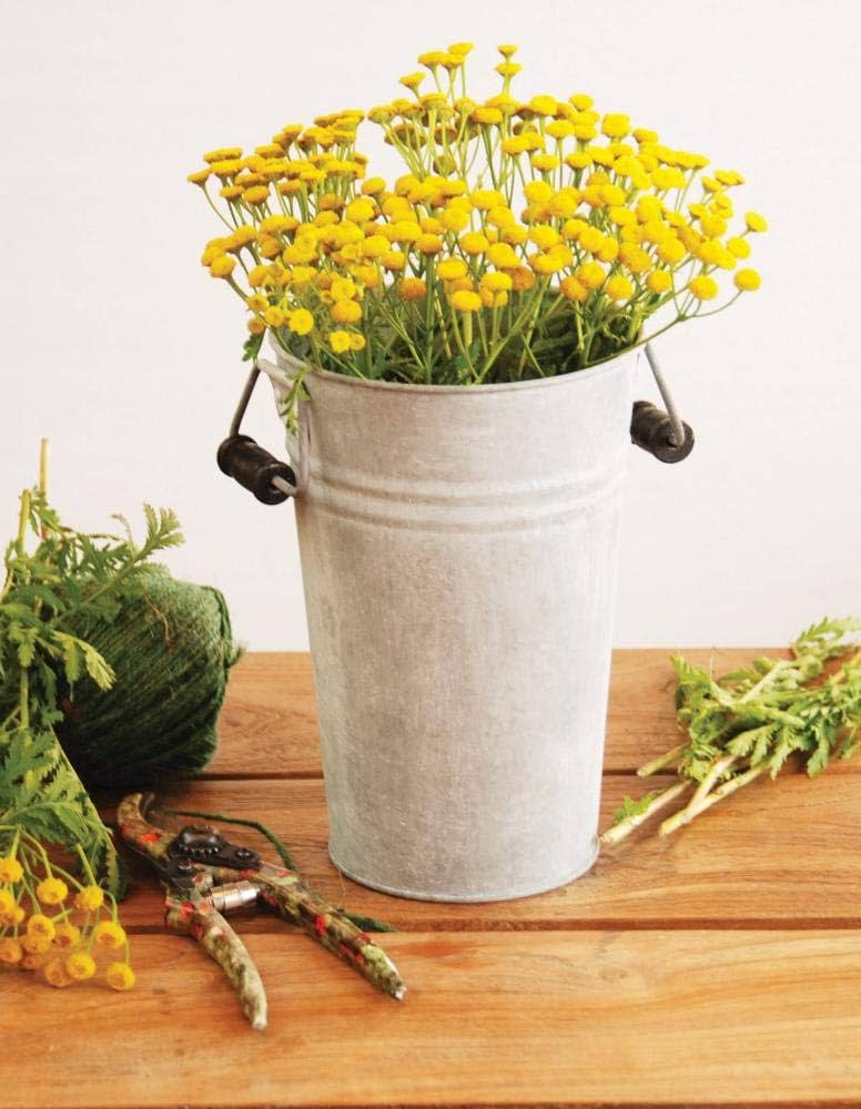Amazon.com : Esschert Design OZ32 Old Zinc S Vase, Small